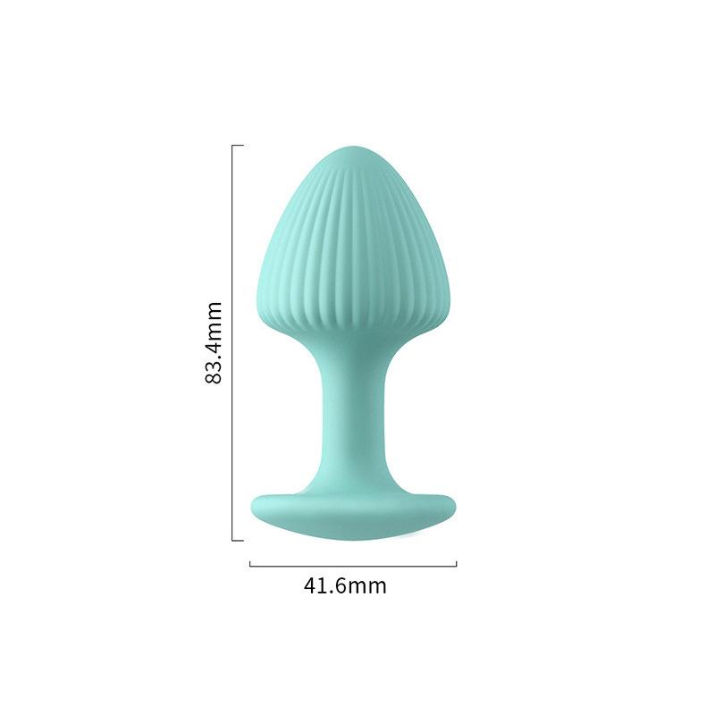Anal Plug for Men & Women – Stretching Butt Plug, Prostate & G-Spot Stimulator, Adult SM Toy for BDSM, Anal Training, and Pleasure