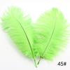 High Quality Ostrich Hair 35-40Cm Multi-Colored Decorative Feathers, Stage Room Flower Arrangement Feathers