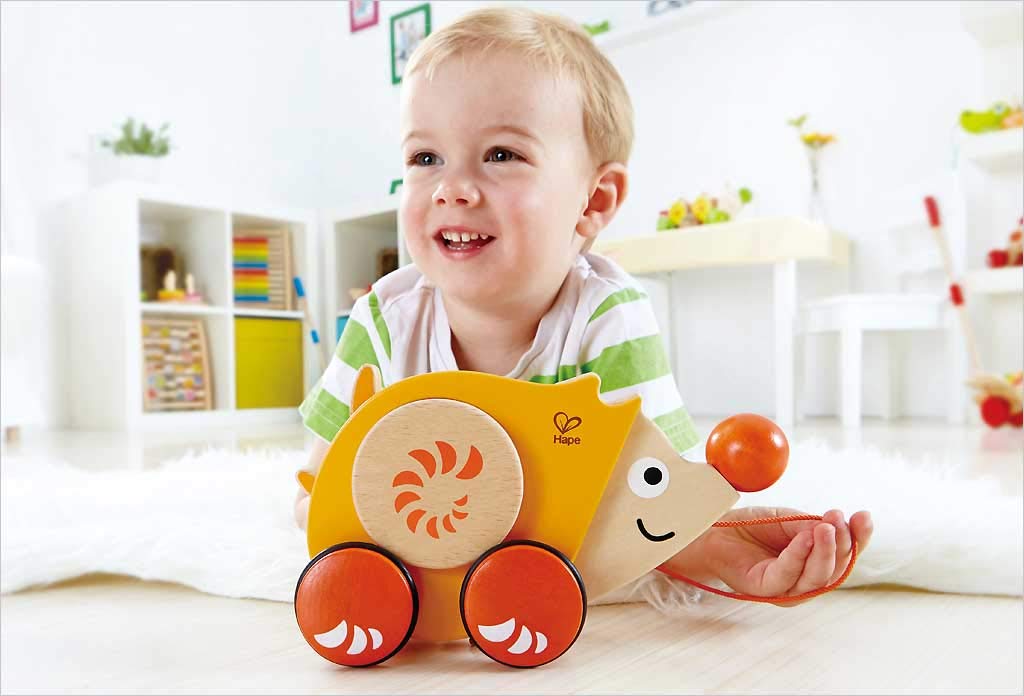 Hape Walk a Long Hedgehog E0350