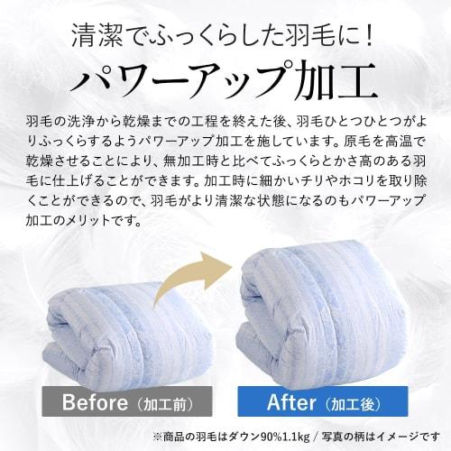 Showa Nishikawa Down Comforter, Made In Japan, 85% White Duck Down, 1.2kg, Plenty of Down, 350 Down Power, Winter Comforter, 3D Quilting, Single/Long,