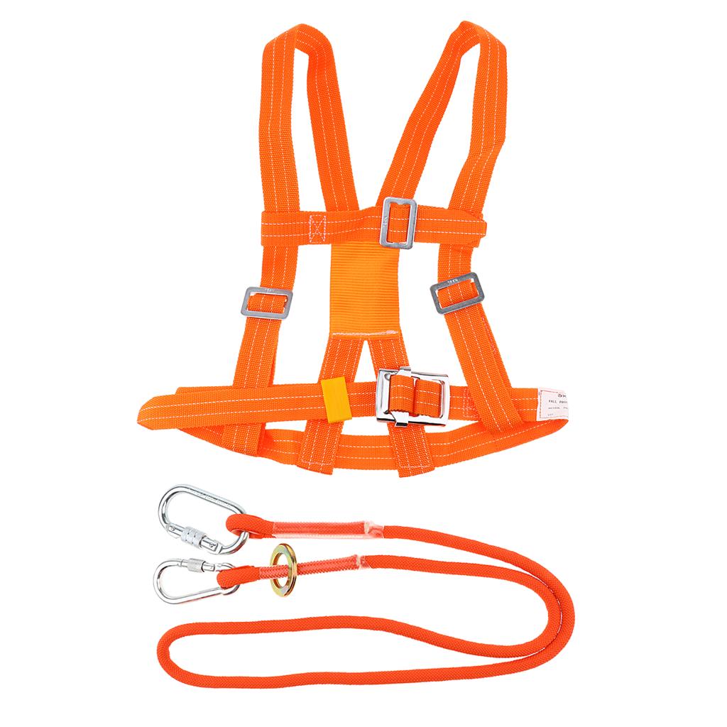 Buy Outdoor 5 point Half Body Climbing 