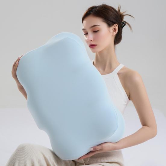 Ergonomic Memory Foam Pillow Neck Support Pillow Contour Cervical Pillow with Machine Washable Pillowcase for Side Back Stomach Sleepers Shoulder