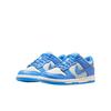 Nike Dunk Low GS Light Photo Blue Silver Kids Sneakers Light-Silver Sail FB9109-004