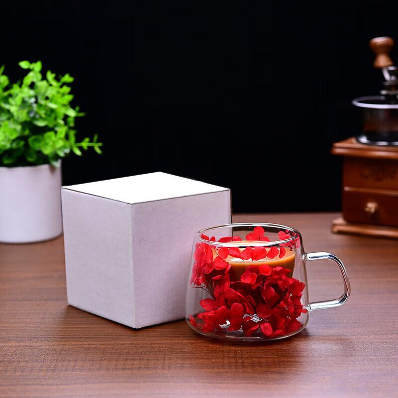 Shangqi Glass Coffee Mug Set with Handle