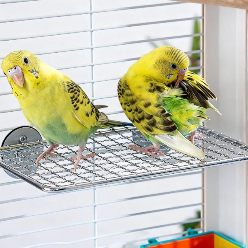 Papagei Edelstahl Ruheplattform Edelstahl Vogelkäfig Halterung Papagei Sitzstange Plattform Vogelkäfig Zubehör Vogel Spielkäfig