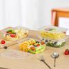temeiju Disposable Square Lunch Box with Lid, 10 Sets