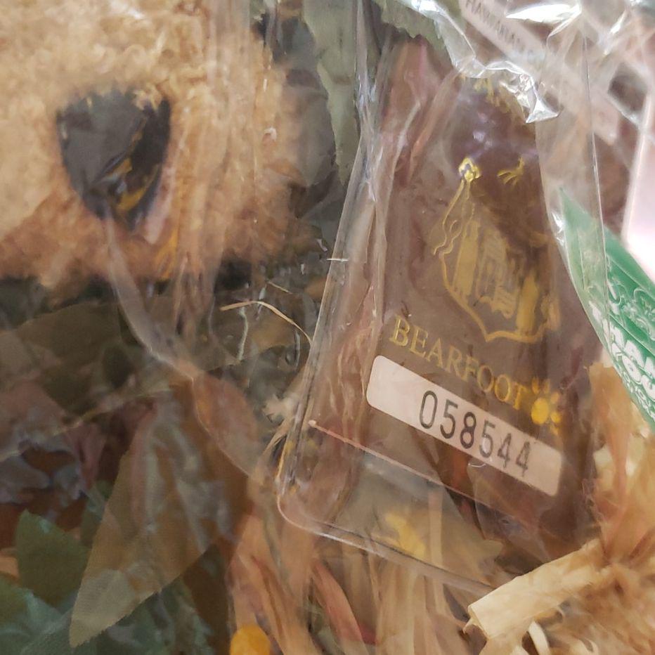 [USED] Price Reduced Again! Bear Foot Hawaii Limited Edition Teddy Bear