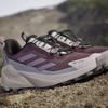 adidas Ботинки для хайкинга Terrex Trailmaker 2 Goretex Speed Lace