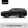Haval H6 Cool Dog Touch-Up Pen, Black Spot & Ruixue White Scratch Repair Paint