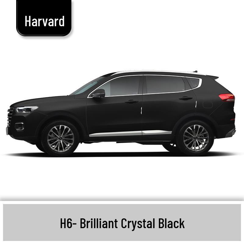 Haval H6 Cool Dog Touch-Up Pen, Black Spot & Ruixue White Scratch Repair Paint