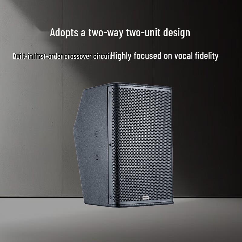 ANE Professional Conference Speaker HD-8 CN plug (adapter included)