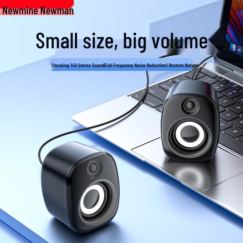 Newmine Desktop & Laptop Computer Speakers