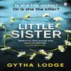 Little Sister by Gytha Lodge Paperback Book 9781405947039