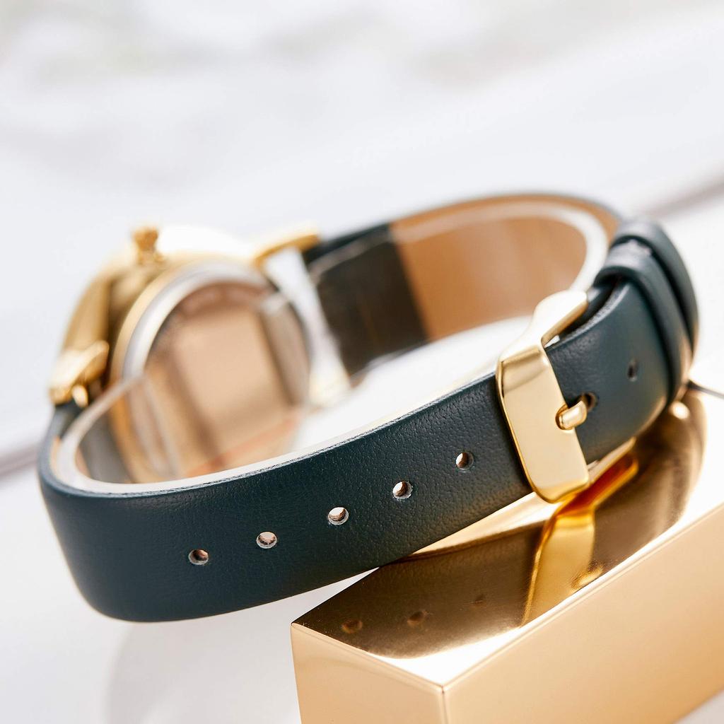 SURVAN Watch Designer Women's Watch, Waterproof, Battery-Operated, Simple, Stylish, Analog, Cute, Luxury, Business Watch, Green