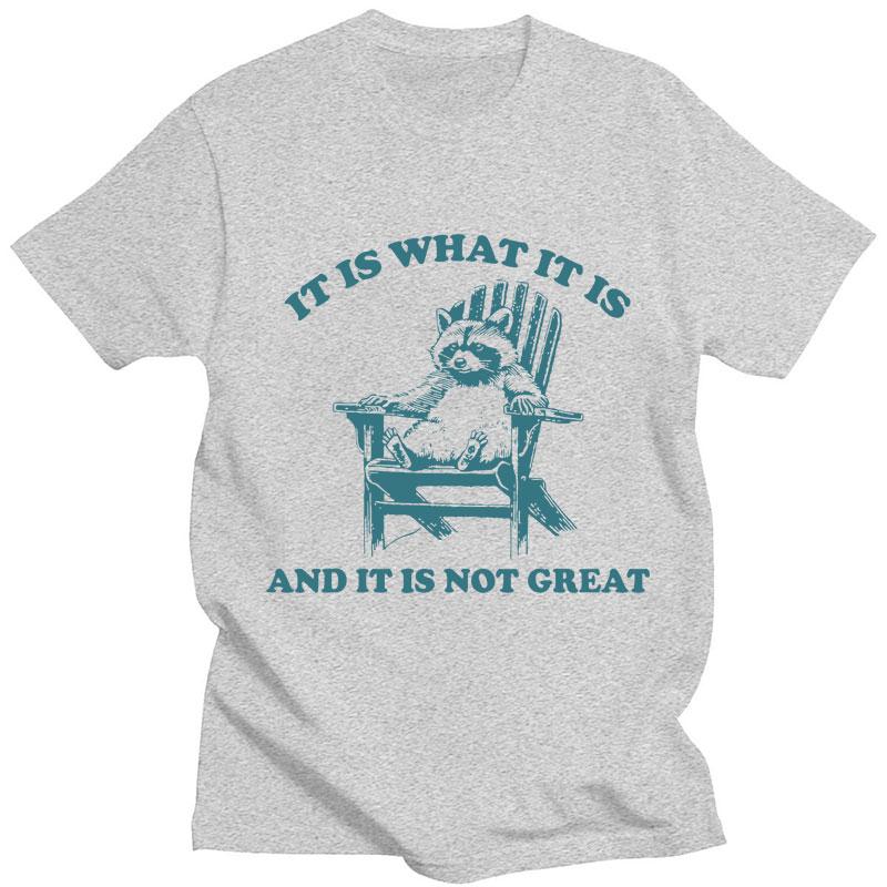 It Is What It Is and It Is Not Great Raccoon Meme T-Shirt Funny Opossum Popular Tshirt Unisex Fashion Cotton Casual Short Sleeve