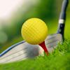 Yousheng Rubber Golf Practice Ball, Double-Layer Putting Swing Training Golf Ball, Professional Golf Ball for Driving Range Indoor Outdoor