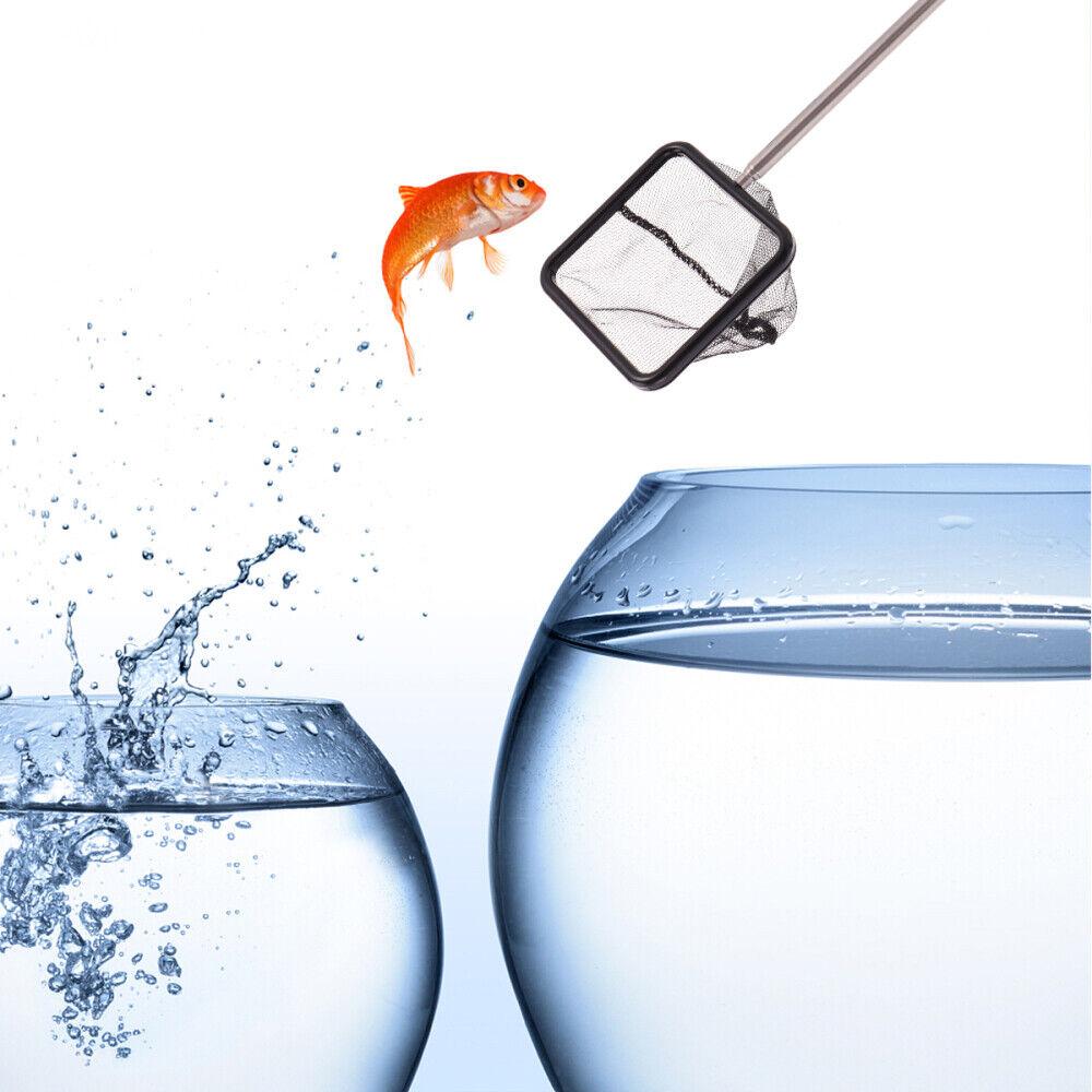 Shrimp Net Pet Fish Net Breeding Net For Guppies Fish Breeding Net Fish Tank Net Aquarium Fish Nets