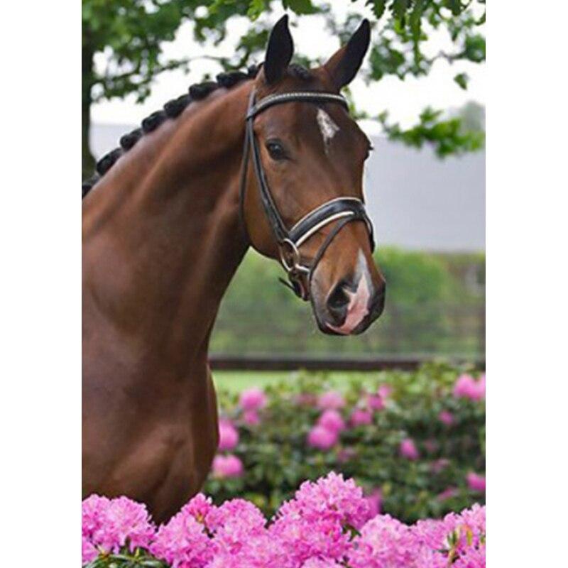 Neue 5D DIY Landschaft Diamant Malerei Pferd Diamant Stickerei Tier Kreuz Stich Volle Runde Bohrer Wohnkultur Manuelle Geschenk