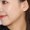 Sears K10 Butterfly Stud Earrings In 10k White Gold Women's (se105-0010-wg)