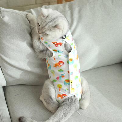 Gatos – Cuidados e higiene