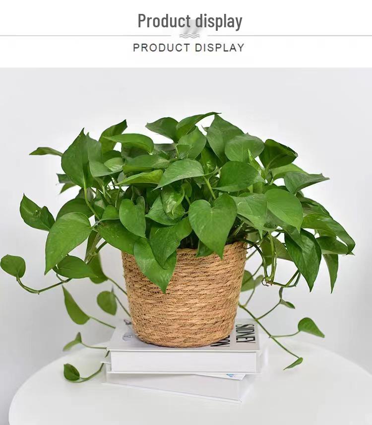 Nordic Rattan Jute Flower Basket - Indoor Tabletop Handmade Decorative Pot