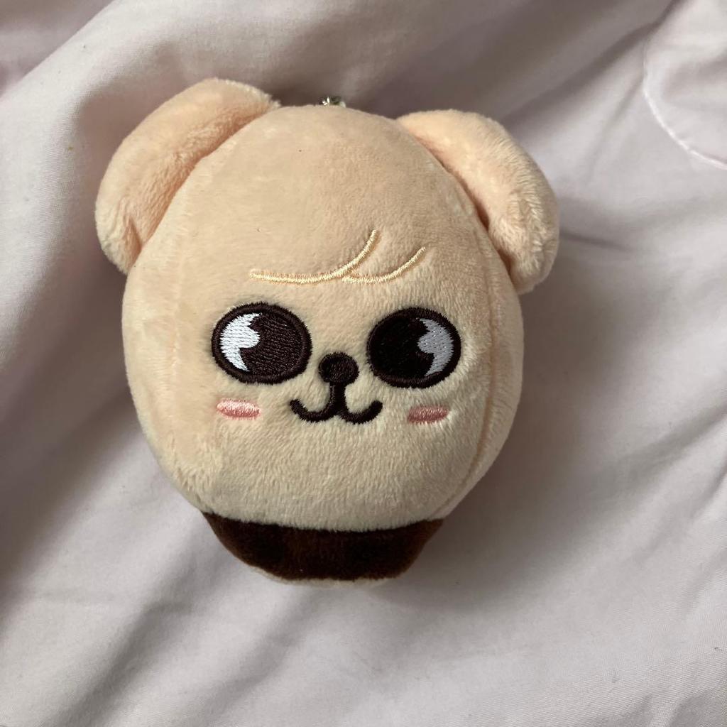 [USED] Straykids Seungmin Skzoo Papim Ecopa Post-sale