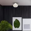 Vaso 4W White Ceiling Lamp