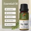 Kaufe 1, erhalte 1 kostenloses Teebaumöl Ätherisches Öl für Aromatherapie & Raumduft | Ätherisches Öl für Diffusor & Seifenherstellung