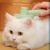Pet Hair Remover Brush Cat Dogs Hair Comb Removes Comb Short Massager Pet Goods for Cats Dog Brush Accessories Supplies