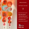 Red Xi Lantern Wedding Decoration Set with Bride Photo Props and Chandelier