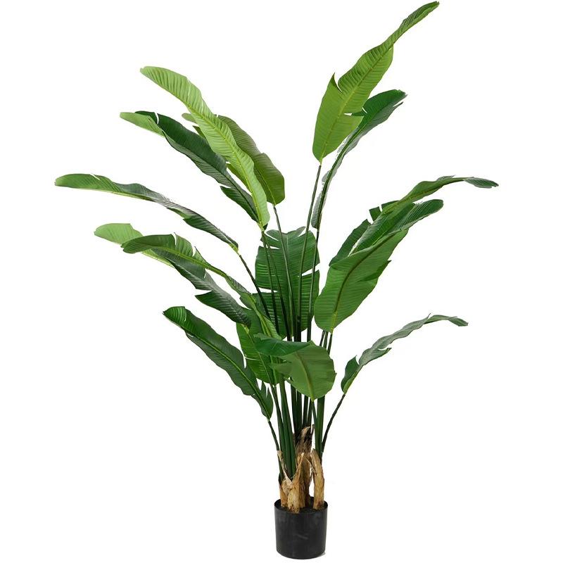 Large Monstera Banana Leaf Plant for Indoor Display and Corner Landscaping