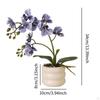 Artificial Phalaenopsis Flower Pot for Dining Table Decoration