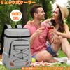 Insulated Backpack Cooler Box 25L Foldable Large Capacity Waterproof Lightweight Cooler for and Outdoor Activities Hands-Free Camping, Fishing,