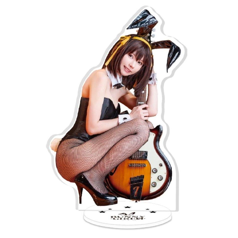 Used Enako acrylic stand