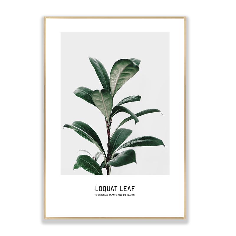 Green Leaf Poster Canvas Painting Plant Wall Art Pictures For Living Room Natural Modern Home Decorative Prints On The Wall