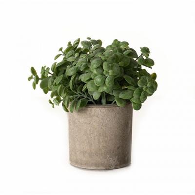 Basil Artificial Plant