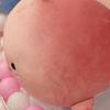 15/25/40cm Whale Plush Toy Lovely Sofa Ornament Soft Sleeping Accompany Plushies Stuffed