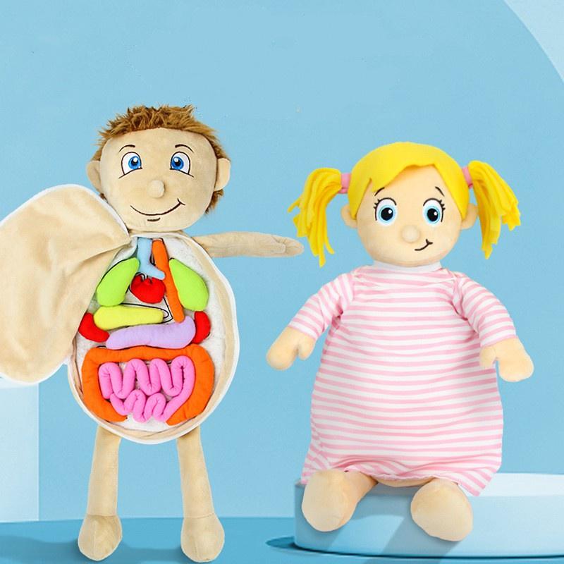 Children Cognitive Human Organ Body Structure Puzzle Plush Early Toys Education