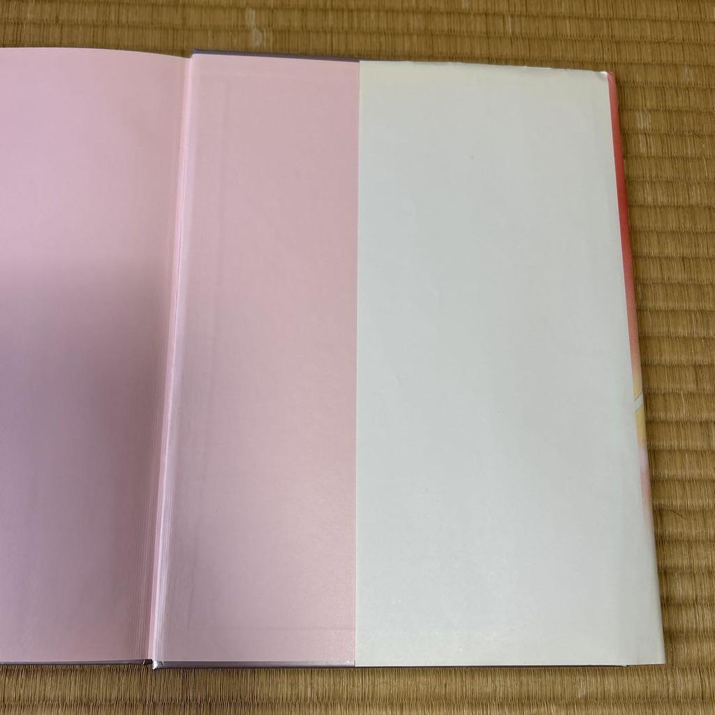 [USED] Sailor Moon Art Book vol.2 + Illustrations with Files