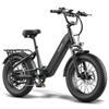 FAFREES F20 ROVER Geländetaugliches Elektrofahrrad mit 48V 15AH Akku