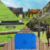 Horse Scratching Pad Set - Integrated Livestock Scratching & Massage Solution, Economical DIY Horse Scratching Post