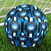Charlotte FC Indoor Soccer Ball Size 5 Colorful All Ages Machine Stitched PVC Competition Ready Durable High-Bounce
