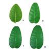 4pcs Multipurpose Banana Leaf Replicas Enhances Any Space with Tropicals Bendables and Practical Party Decoration