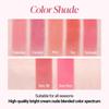 espoir THE SLEEK LIPSTICK CREAM MATTE Logic BB Espoir #6 0.9g (Korean Cosmetics, Official)