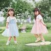 JELLYBABY Girls' Summer Fake Two-Piece Mesh Princess Dress