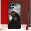 Eagle Hawk Bird Animal Case For Samsung Galaxy M54 M34 M14 M35 M56 M12 M06 M32 M52 M55 M15 M11 M13 M16 M36 M31 M53