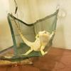 Hanging Pet Accessories Elastic Bearded Dragon Hammock Lizard Bed Reptile Habitat Bird Ladder