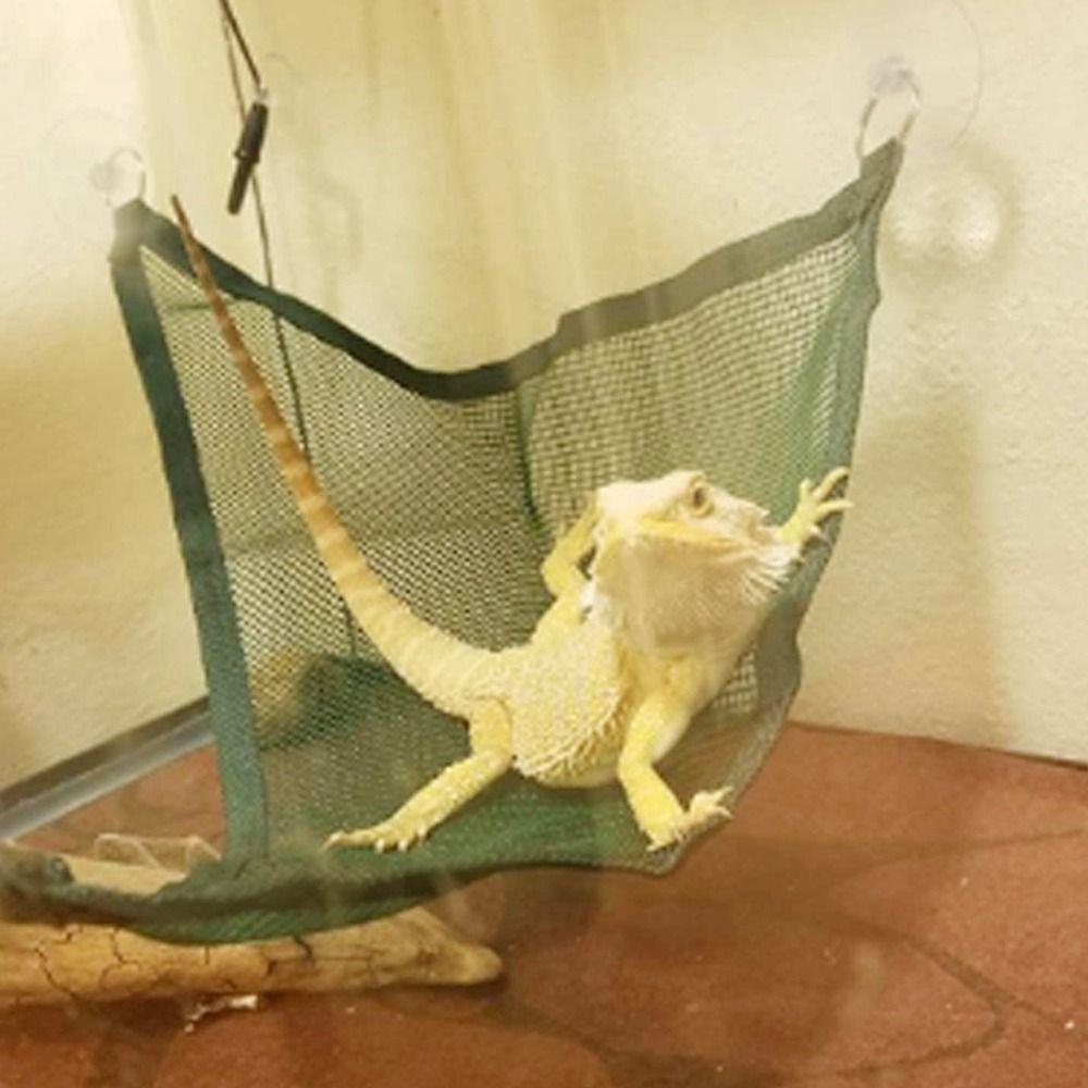 Hanging Pet Accessories Elastic Bearded Dragon Hammock Lizard Bed Reptile Habitat Bird Ladder