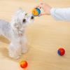 Dog Food Leakage Chew Ball Bite Resistant Pet Treat Dispensing Squeaky Toy Puppy Teething Interactive Boredom Enrichment Toy