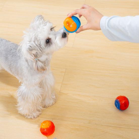 Dog Food Leakage Chew Ball Bite Resistant Pet Treat Dispensing Squeaky Toy Puppy Teething Interactive Boredom Enrichment Toy